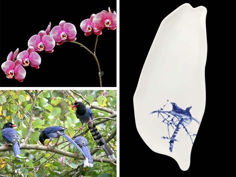 台灣意象的具體呈現華富麗 瓷藝出群 蘭花 藍鵲 梅花鹿 台灣瓷盤